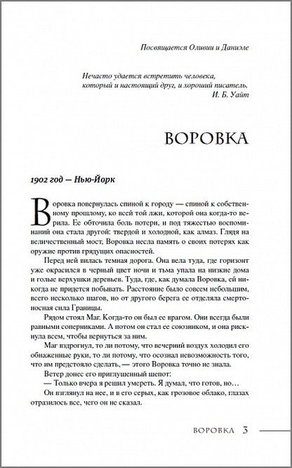 Последний маг. 2. Воровка дьявола