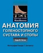 Анатомия голенностопного сустава и стопы. Цветной атлас МакМинна. Логан Б. М.