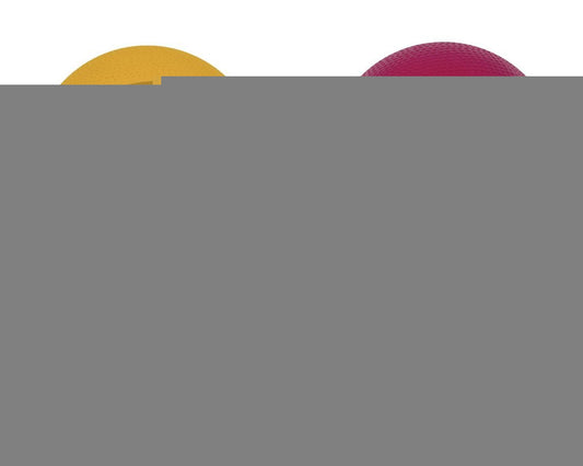 Чапаев. Мяч резиновый 200 мм арт.Р2-200/Фа "Фаворит"