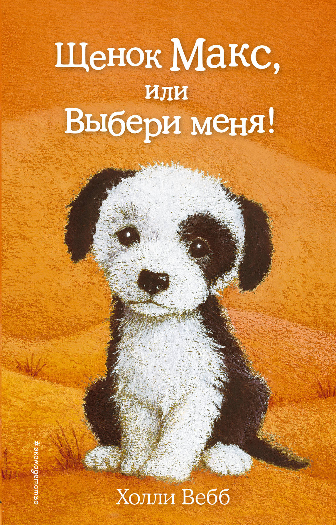 Щенок Макс, ou Выбери меня! (23)