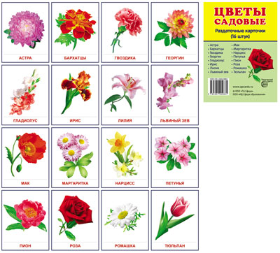 Демонстрационные картинки супер Цветы садовые. 16 sections de la carte avec le texte