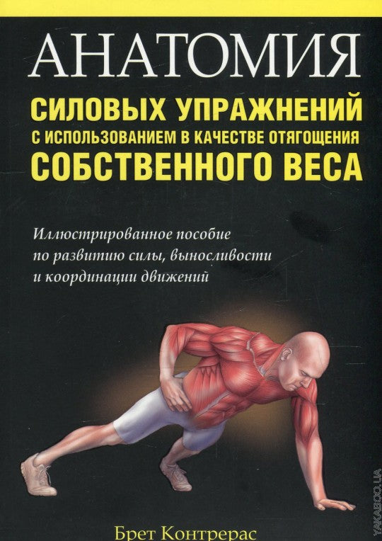 Caractéristiques de l'anatomie du corps avec utilisation dans le cadre de la gestion de votre entreprise