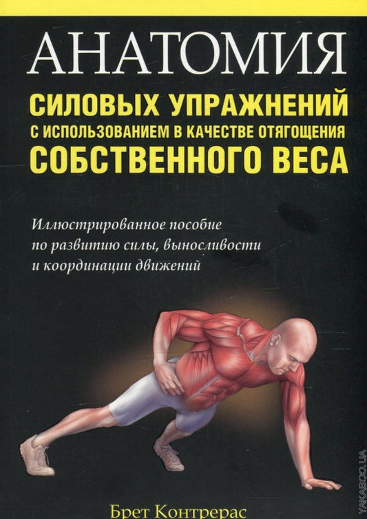 Caractéristiques de l'anatomie du corps avec utilisation dans le cadre de la gestion de votre entreprise