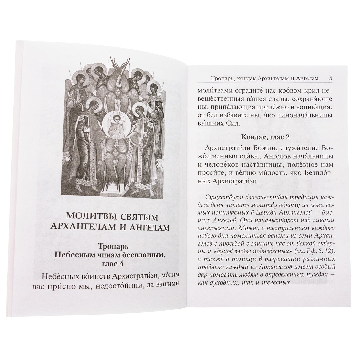 Под покровом ангельских Сил. Молитвы святым Архангелам и Ангелам