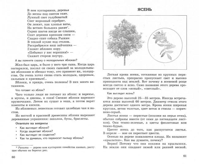 АКЦИЯ Беседы о деревьях и кустарниках с детьми 5—8 лет/ Шорыгина Т.А.