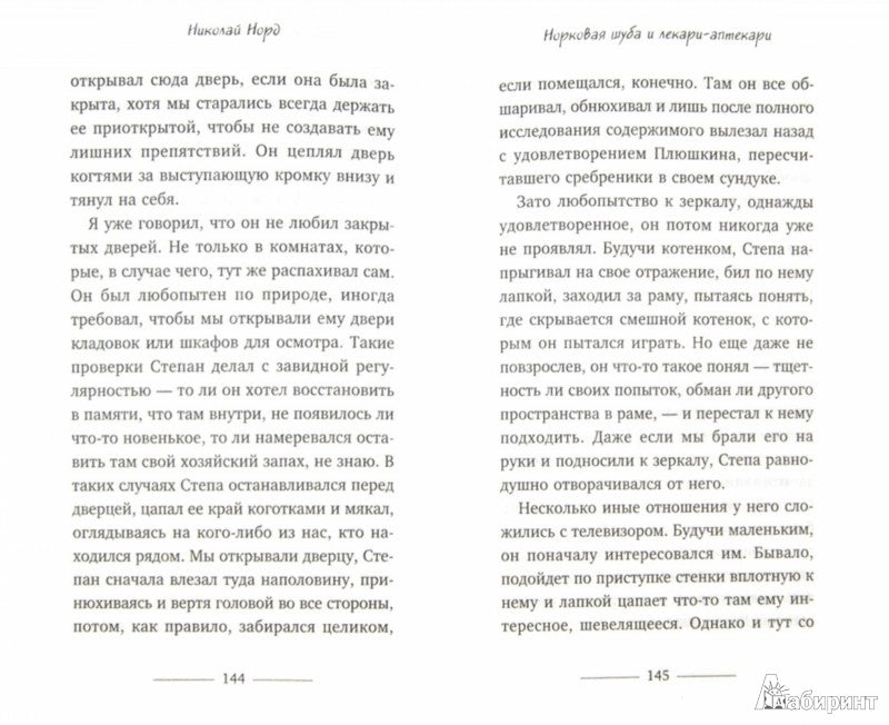 Серый кот по имени Степан. Трогательная история дружбы кота и человека.