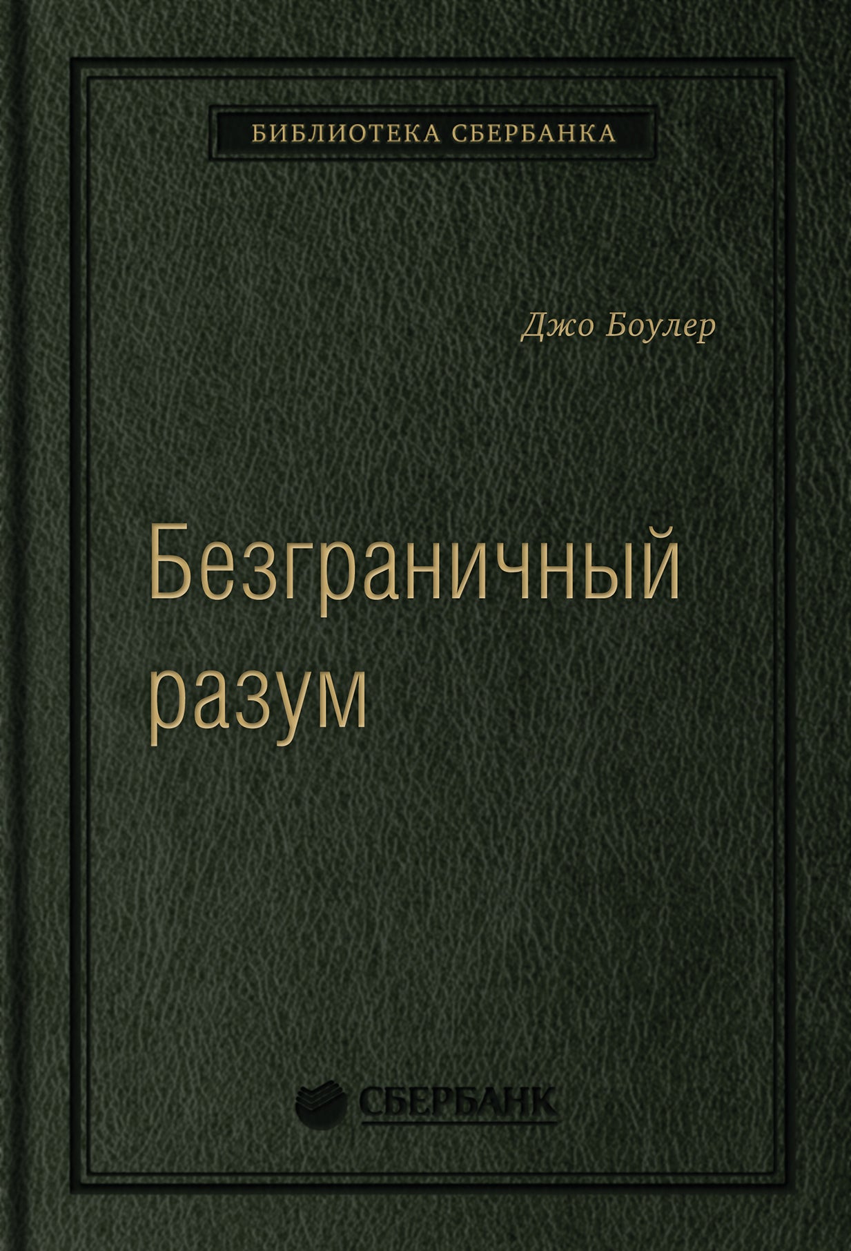 96_т_"Безграничный разум", квинель