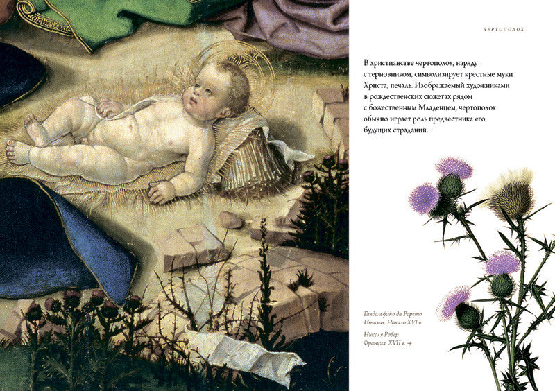 Любовь к ботанике