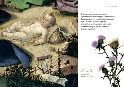 Любовь к ботанике