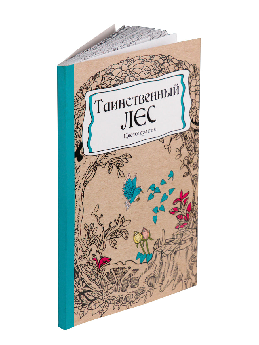 Раскраска-антистресс.А5, 56л., ТАИНСТВЕННЫЙ ЛЕС, КБС, мягк.обл.