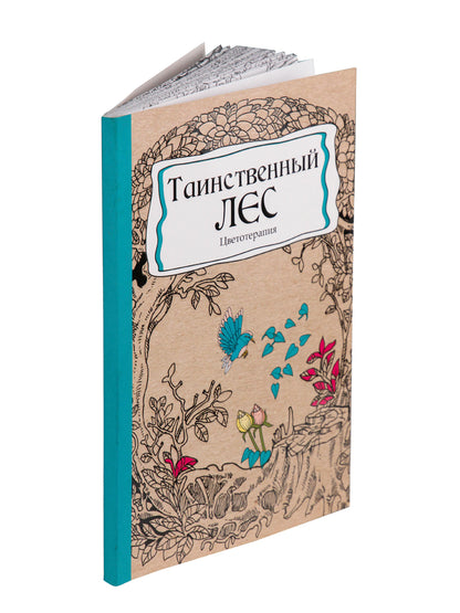 Раскраска-антистресс.А5, 56л., ТАИНСТВЕННЫЙ ЛЕС, КБС, мягк.обл.