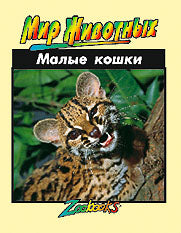 Малые кошки