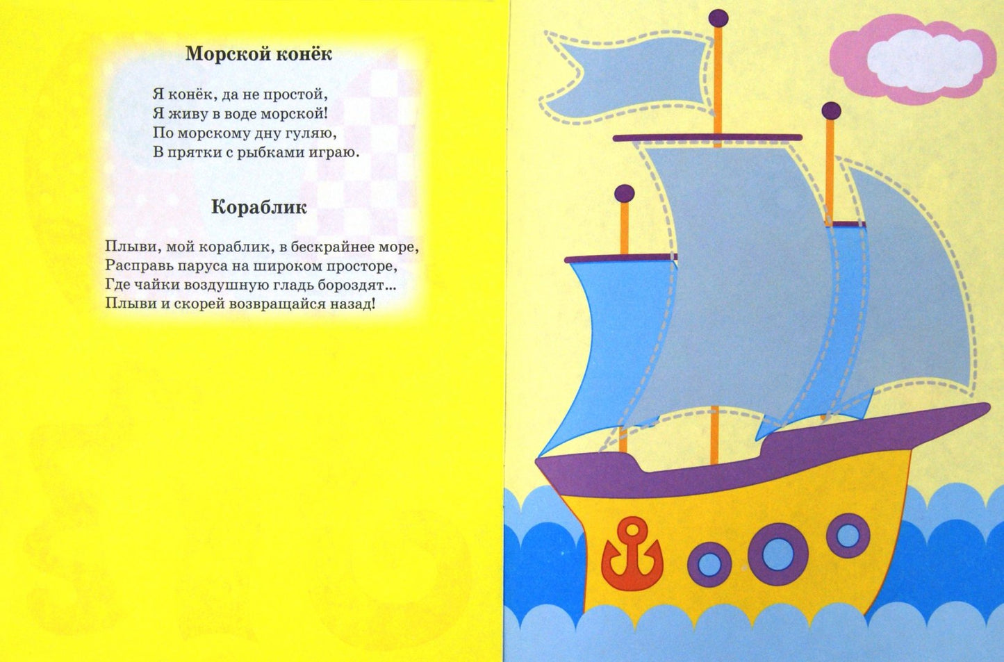 Application. Pirate ouvert