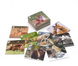 Ми-Ми-Мемо "Дикие животные" (30 карточек) арт.8050 /36