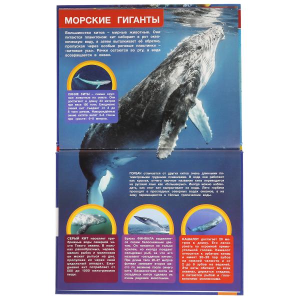 "УМКА". ПОДВОДНЫЙ МИР. ЭНЦИКЛОПЕДИЯ А4 С РАЗВИВАЮЩИМИ ЗАДАНИЯМИ. 197Х255ММ, 48 СТР. в кор15шт