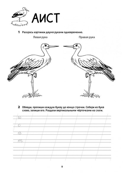 Логоментальные прописи и тренажеры для начальной школы. Птицы: 2-4 класс