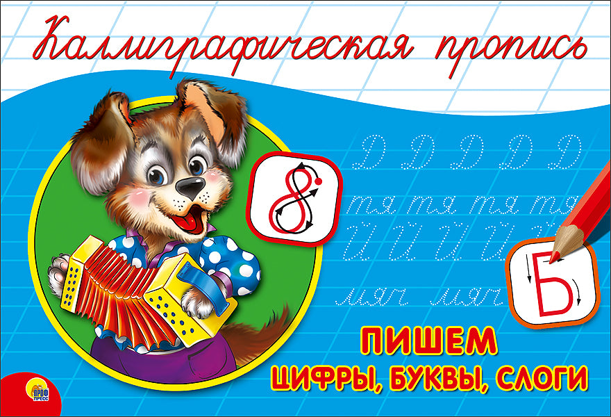 КАЛЛИГРАФИЧЕСКАЯ ПРОПИСЬ А5. album. ПИШЕМ ЦИФРЫ, БУКВЫ, СЛОГИ
