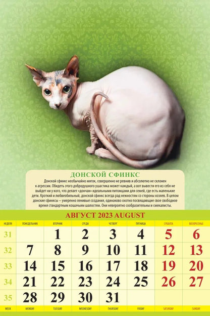 Calendrier "Породы кошек" pour 2024. Panneau avec cadre (320*480 mm) 6 listes