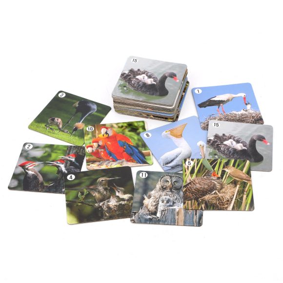 Ми-Ми-Мемо "Птицы" (30 карточек) арт.8052 /36