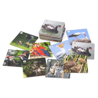 Ми-Ми-Мемо "Птицы" (30 карточек) арт.8052 /36