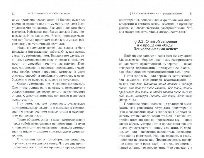 Очерки православной психотерапии. На пути в землю Обетованную