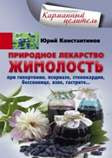 Природное лекарство жимолость. При гипертонии, псориазе, стенокардии, бессоннице, язве, гастрите…