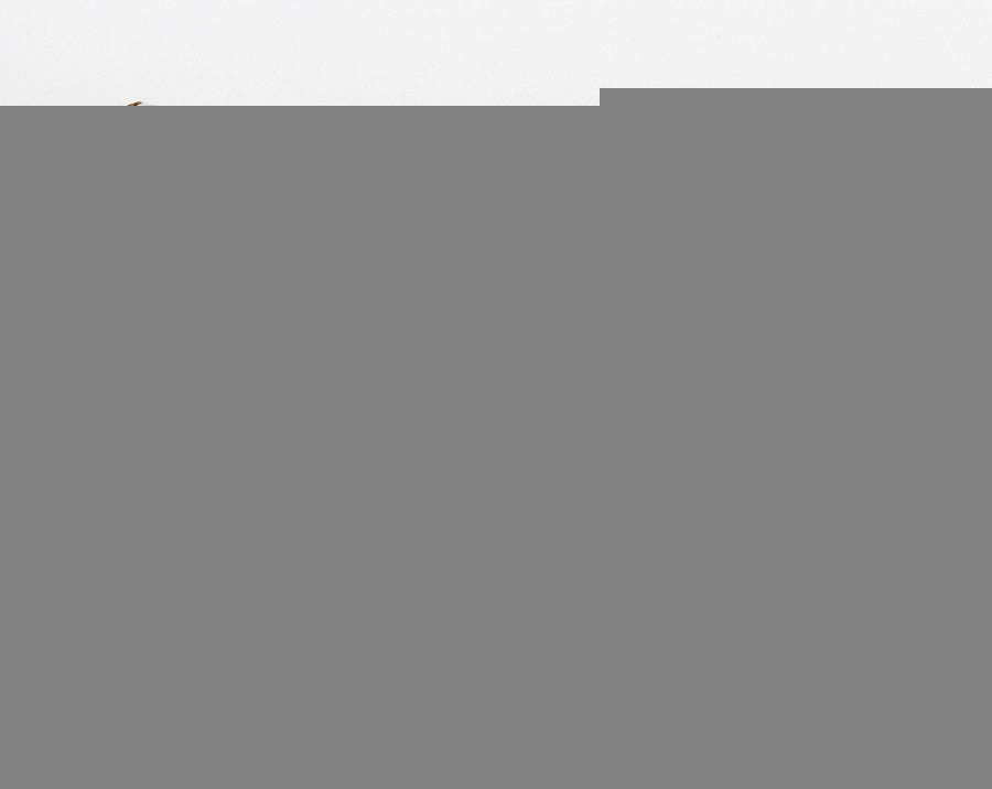 Лото пластмассовое "Десять в одном" мал.