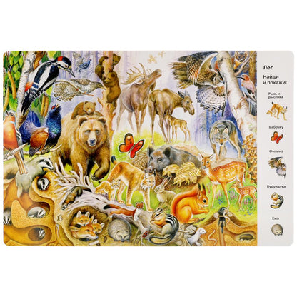 "УМКА". ЖИВОТНЫЕ. НАЙДИ И ПОКАЖИ. ВИММЕЛЬБУХ. А4 ФОРМАТ: 235Х315 ММ. ОБЪЕМ: 12 СТР. в кор.15шт