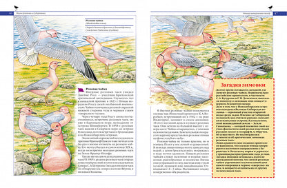 Красная книга России. Животные