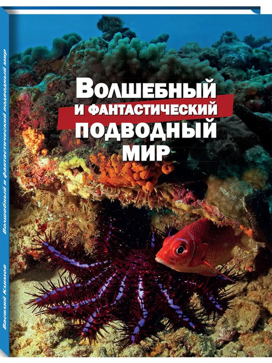 Волшебный и фантастический подводный мир