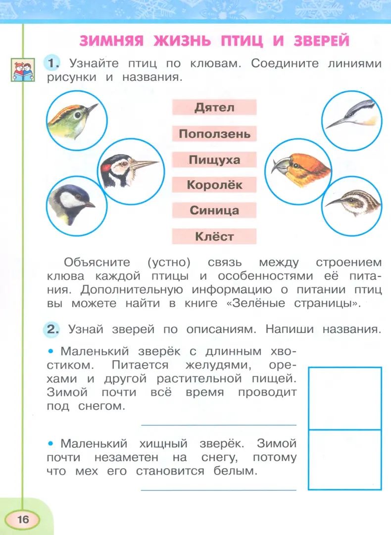 Окружающий мир. 2 кл. Р/Т №2 (Перспектива) к УП