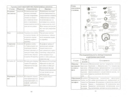 Биология для медицинских колледжей и училищ
