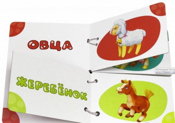 Книжка Найди половинки. Mamans et filles