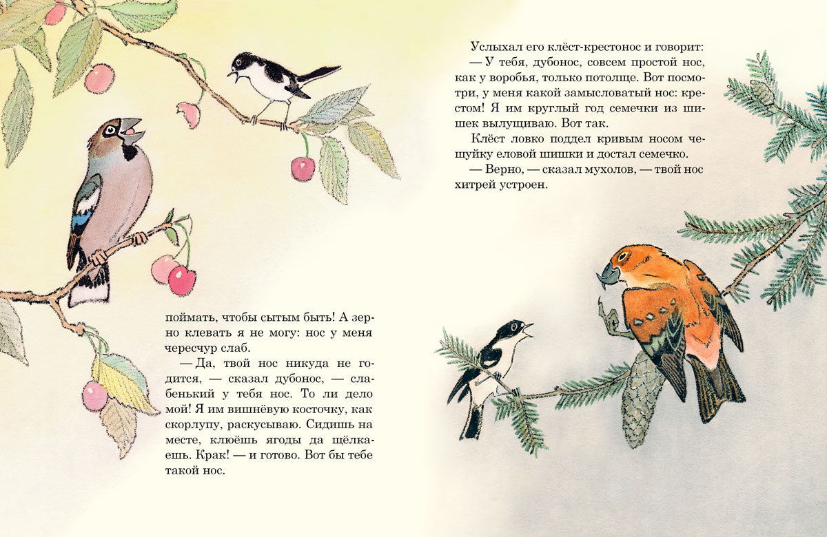Чей нос лучше?: сказка. Бианки В.