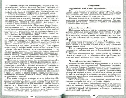 Преемственность. Программа по подгот к школе детей