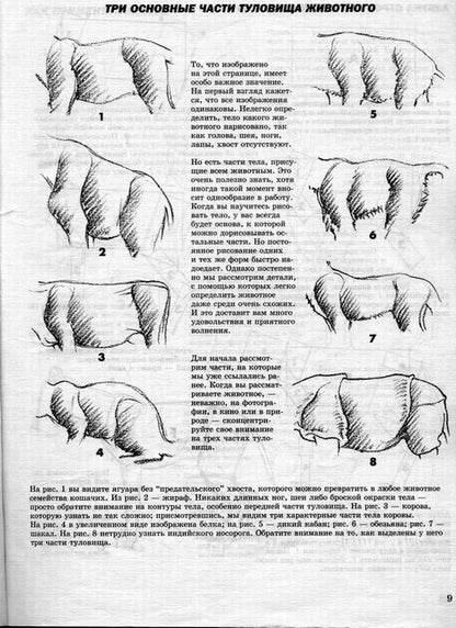 Comment risquer votre vie