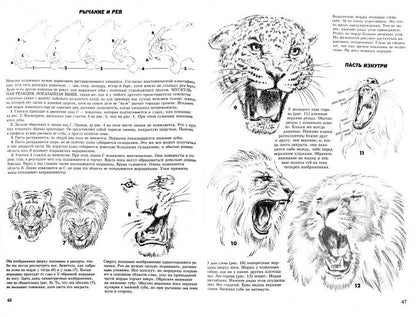 Comment risquer votre vie