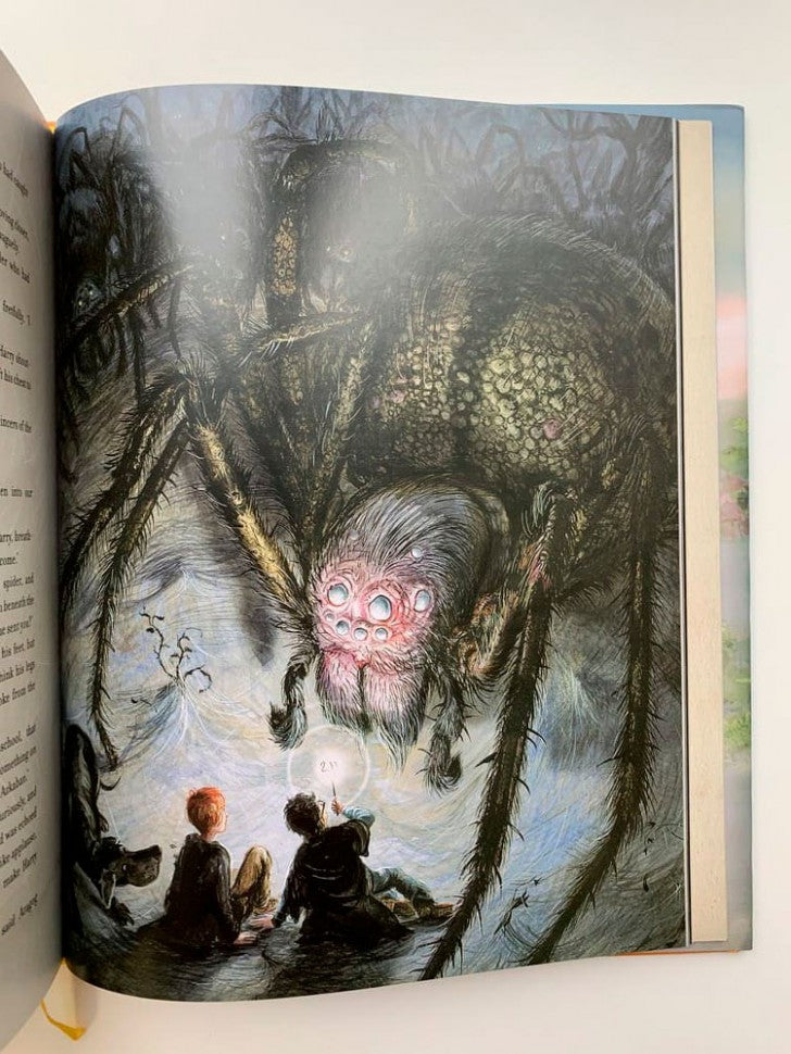 Harry Potter and the Chamber of Secrets Illustrated Edition (J.K. Rowling) Гарри Поттер и Тайная комната Илл. издание/ Книги на английском языке