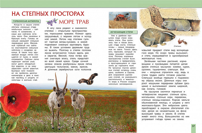 Животные России (Моя Россия)