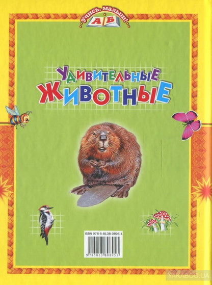 Удивительные животные