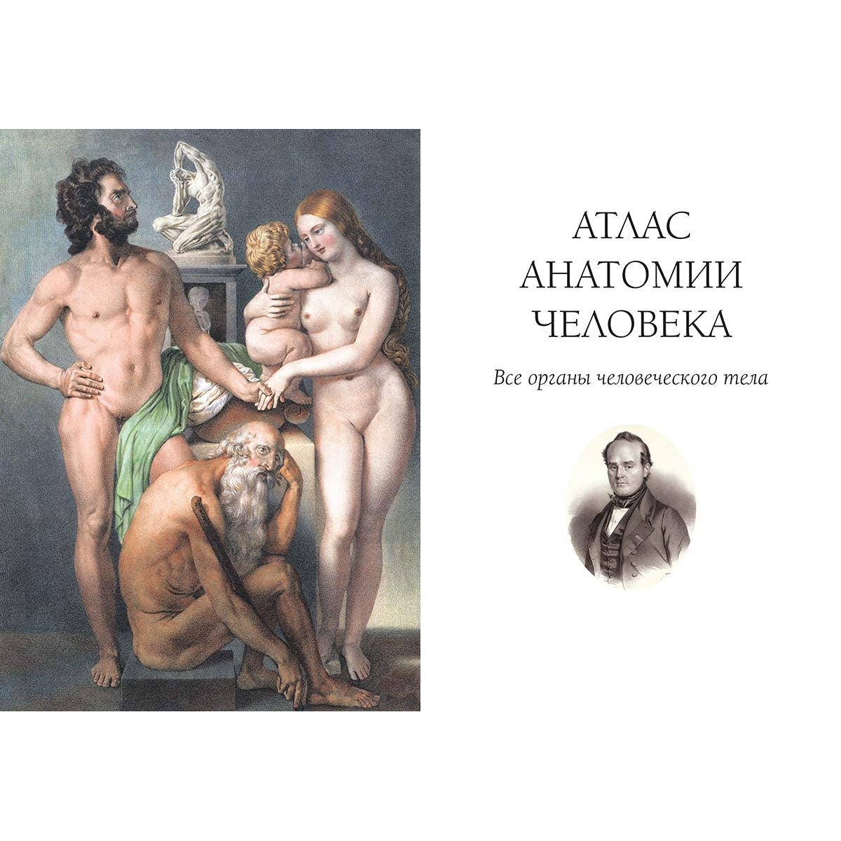 Атлас анатомии человека. Все органы человеческого тела. Grande collection