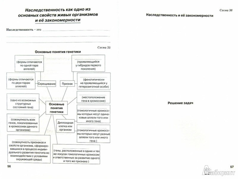 Biologie 10-11cl Общая биология (Рабочая тетрадь)