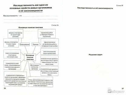 Biologie 10-11cl Общая биология (Рабочая тетрадь)