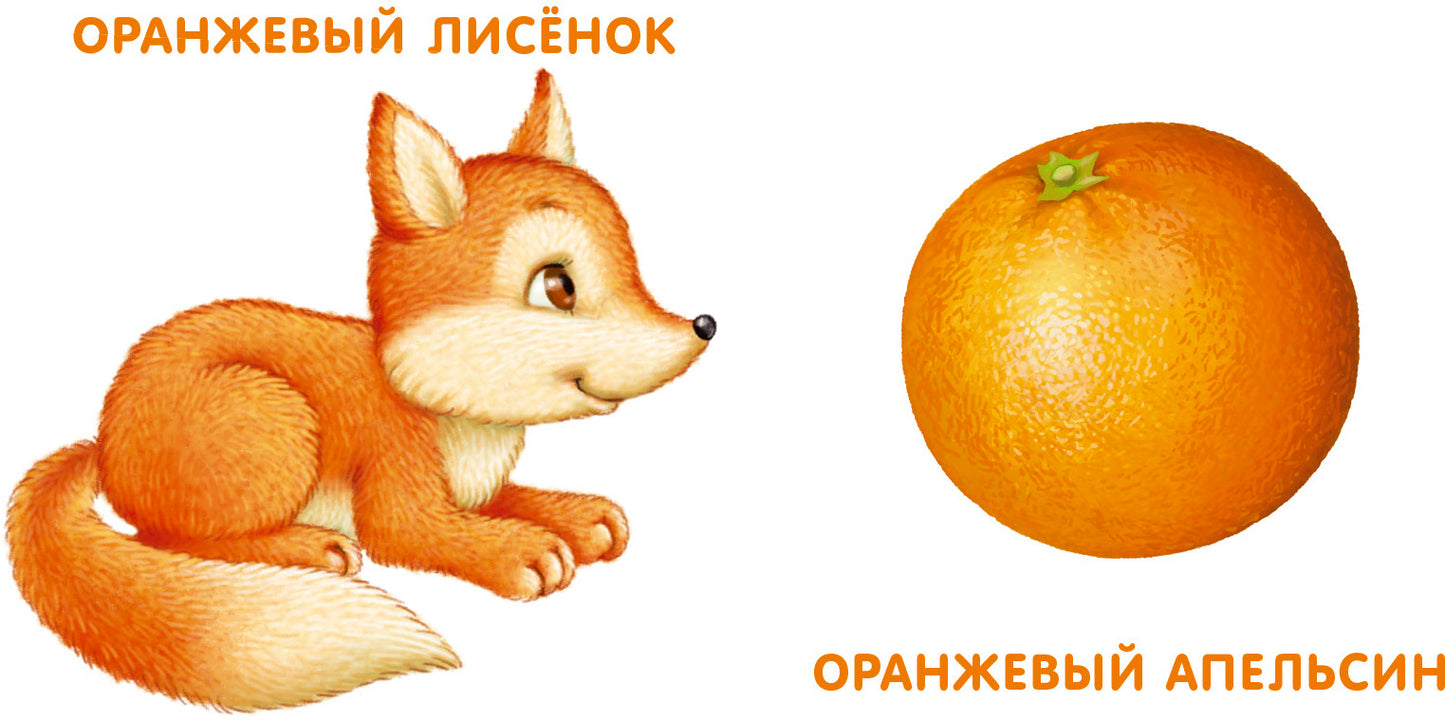 Робинс. Книжки - картонки "Мои первые цвета"