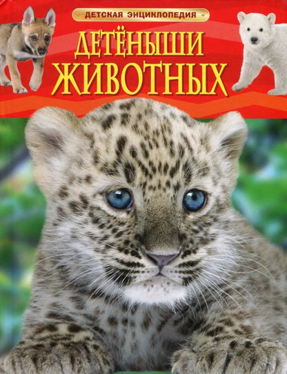 Детеныши животных. Детская энциклопедия