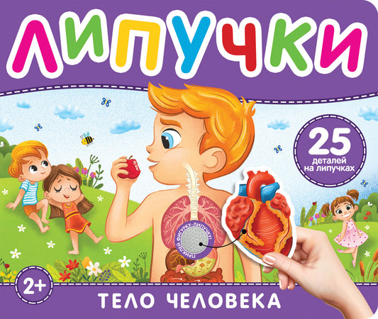 Тело человека. Книга с липучками