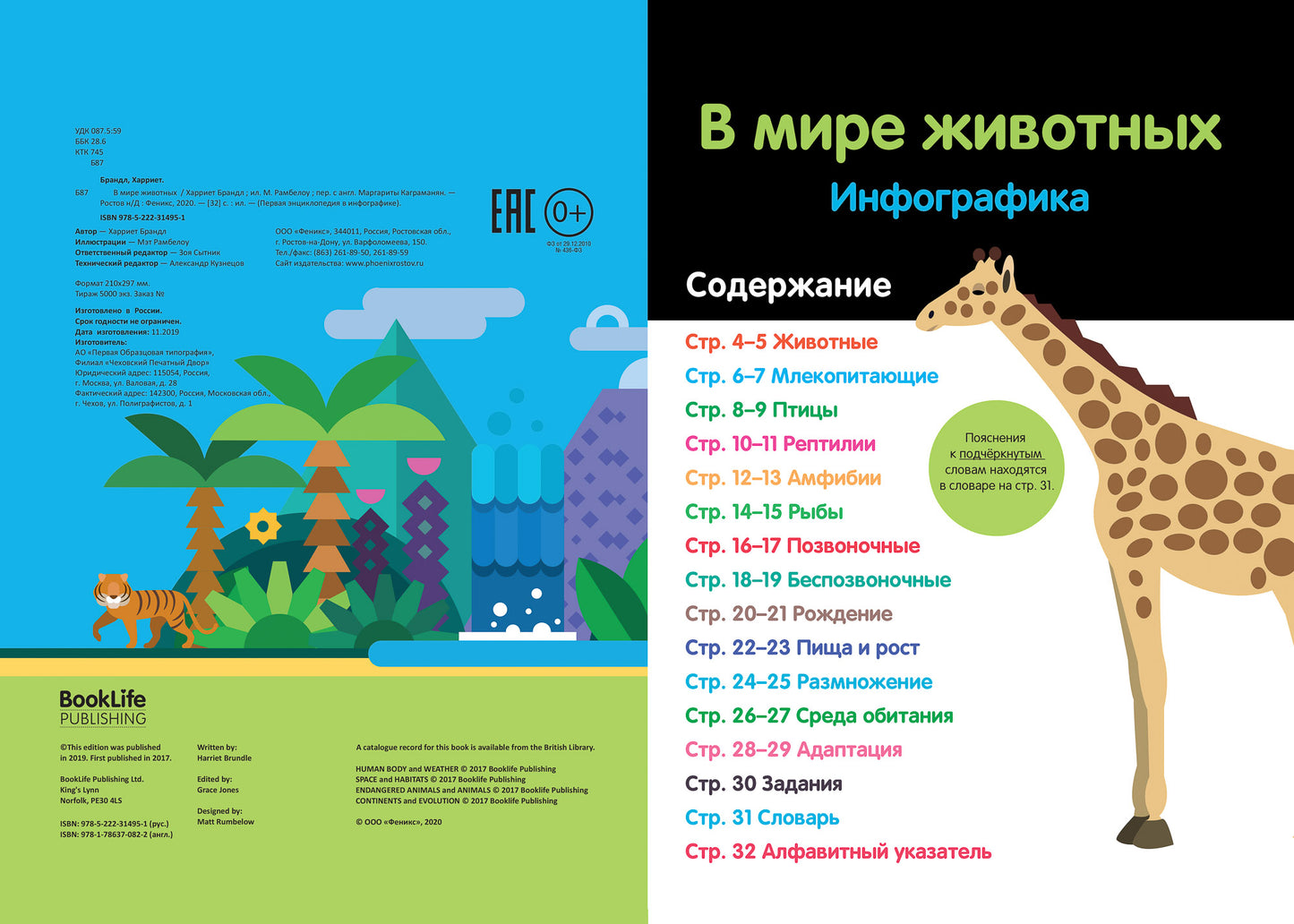 Dans le monde entier : infographie