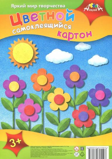 Carton цв.самокл.5л,5цв,Цветочки,С2456-03