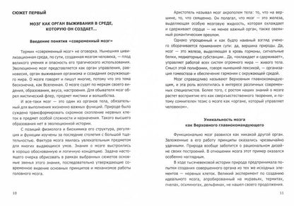 Мозг – чудо без мистики и волшебства