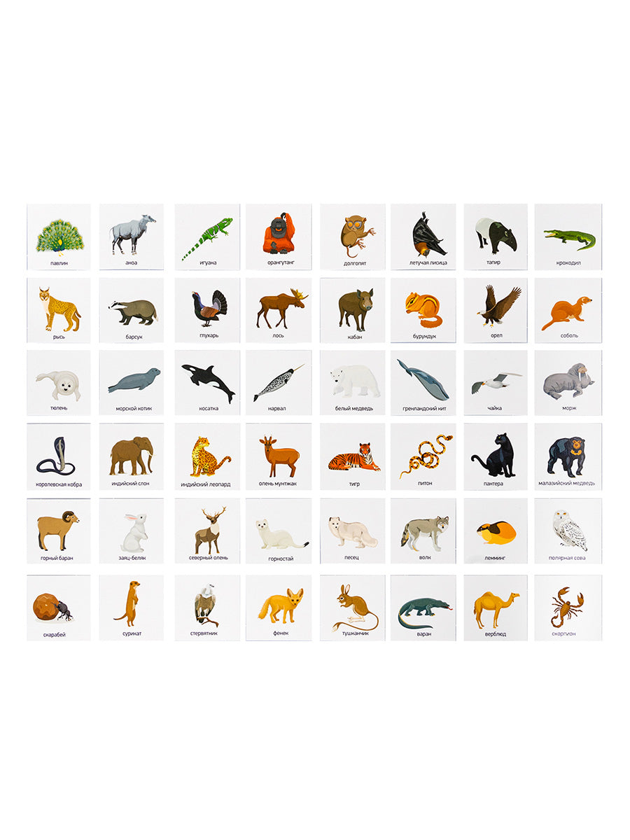 Лото "Кто где живет?" (большое)